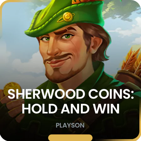 https://b3ti-cdn2-platform.cdn-in-flare.com/resources//media/games_images//playson/Sherwood_Coins_Hold_and_Win_11002.webp